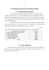 Verslo planas: naktinis klubas UAB "GD" 20 puslapis