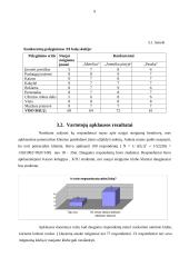 Verslo planas: naktinis klubas UAB "GD" 8 puslapis