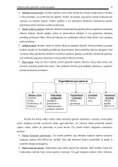 Verslo planas: obuolių sūrio gamyba UAB "Obuolių magija" 7 puslapis