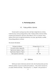 Verslo planas: paslaugos automobilistams UAB "Audiobullets" 11 puslapis