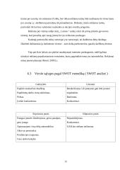 Verslo planas: paslaugos automobilistams UAB "Audiobullets" 12 puslapis