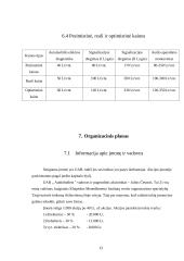 Verslo planas: paslaugos automobilistams UAB "Audiobullets" 13 puslapis