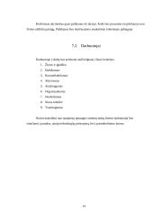 Verslo planas: paslaugos automobilistams UAB "Audiobullets" 14 puslapis