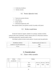 Verslo planas: paslaugos automobilistams UAB "Audiobullets" 16 puslapis