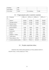 Verslo planas: paslaugos automobilistams UAB "Audiobullets" 19 puslapis