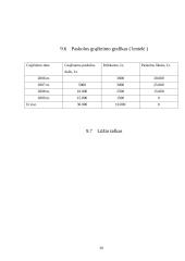 Verslo planas: paslaugos automobilistams UAB "Audiobullets" 20 puslapis