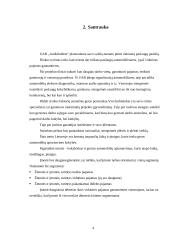 Verslo planas: paslaugos automobilistams UAB "Audiobullets" 4 puslapis