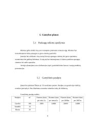 Verslo planas: paslaugos automobilistams UAB "Audiobullets" 8 puslapis