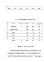 Verslo planas: paslaugos automobilistams UAB "Audiobullets" 9 puslapis