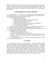 Verslo planas: pramogų klubas "Erdvė" 9 puslapis