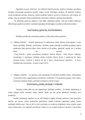 Verslo planas: rūkytų mėsos gaminių gamyba UAB "Kretingos mėsos gaminiai" 4 puslapis