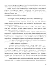 Verslo planas: rūkytų mėsos gaminių gamyba UAB "Kretingos mėsos gaminiai" 5 puslapis
