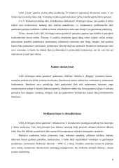 Verslo planas: rūkytų mėsos gaminių gamyba UAB "Kretingos mėsos gaminiai" 8 puslapis