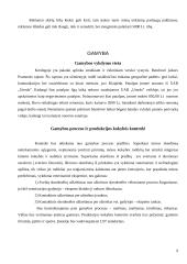 Verslo planas: rūkytų mėsos gaminių gamyba UAB "Kretingos mėsos gaminiai" 9 puslapis