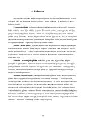 Verslo planas: siuvimo įmonė UAB "Reply" 15 puslapis