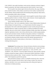 Verslo planas: siuvimo įmonė UAB "Reply" 17 puslapis