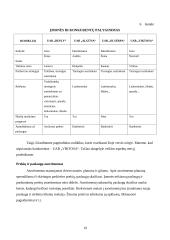 Verslo planas: siuvimo įmonė UAB "Reply" 18 puslapis