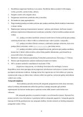 Verslo planas: siuvimo įmonė UAB "Reply" 7 puslapis
