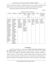 Verslo planas: specializuotos vaisių ir daržovių parduotuvės steigimas Klaipėdoje 13 puslapis