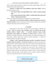 Verslo planas: specializuotos vaisių ir daržovių parduotuvės steigimas Klaipėdoje 16 puslapis