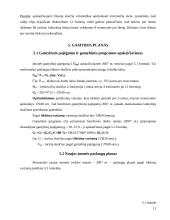 Verslo planas: sporto klubas "Jėga" 10 puslapis