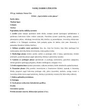 Verslo planas: sporto klubas "Jėga" 2 puslapis