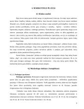 Verslo planas: sporto klubas "Jėga" 7 puslapis