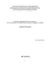 Verslo planas: suskystintų dujų kolonėlės Kaune 1 puslapis