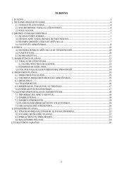 Verslo planas: tatuiruočių darymas UAB "Tatoo" 2 puslapis