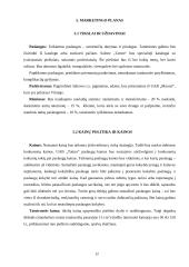 Verslo planas: tatuiruočių darymas UAB "Tatoo" 12 puslapis