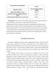 Verslo planas: tatuiruočių darymas UAB "Tatoo" 13 puslapis