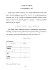 Verslo planas: tatuiruočių darymas UAB "Tatoo" 15 puslapis