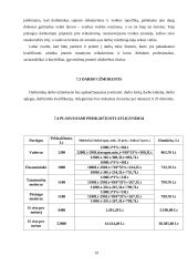 Verslo planas: tatuiruočių darymas UAB "Tatoo" 19 puslapis