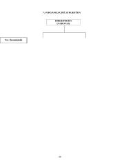 Verslo planas: tatuiruočių darymas UAB "Tatoo" 20 puslapis