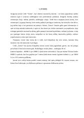 Verslo planas: tatuiruočių darymas UAB "Tatoo" 3 puslapis