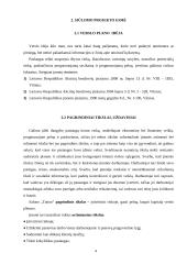 Verslo planas: tatuiruočių darymas UAB "Tatoo" 4 puslapis