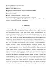 Verslo planas: tatuiruočių darymas UAB "Tatoo" 5 puslapis