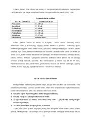 Verslo planas: tatuiruočių darymas UAB "Tatoo" 8 puslapis