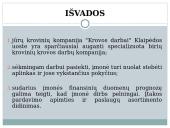 Verslo planas: UAB "Krovos darbai" 10 puslapis