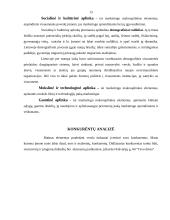 Verslo planas: vestuvių planavimas AB "Svajonių vestuvės" 13 puslapis