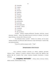 Verslo planas: vestuvių planavimas AB "Svajonių vestuvės" 16 puslapis