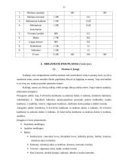 Verslo planas: viešbutis 11 puslapis