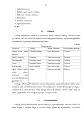 Verslo planas: viešbutis 12 puslapis