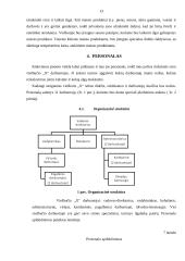 Verslo planas: viešbutis 13 puslapis