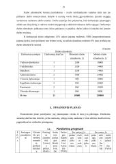 Verslo planas: viešbutis 15 puslapis