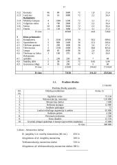 Verslo planas: viešbutis 17 puslapis
