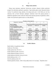 Verslo planas: viešbutis 19 puslapis