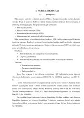 Verslo planas: viešbutis 4 puslapis