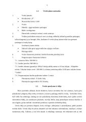 Verslo planas: viešbutis 5 puslapis