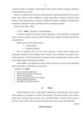 Verslo planas: viešbutis 6 puslapis